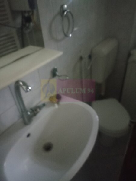 Garsoniera in vila Kiseleff- Arcul De Triumf.